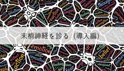 233cc88f6c10c8627d964443e0fd0c